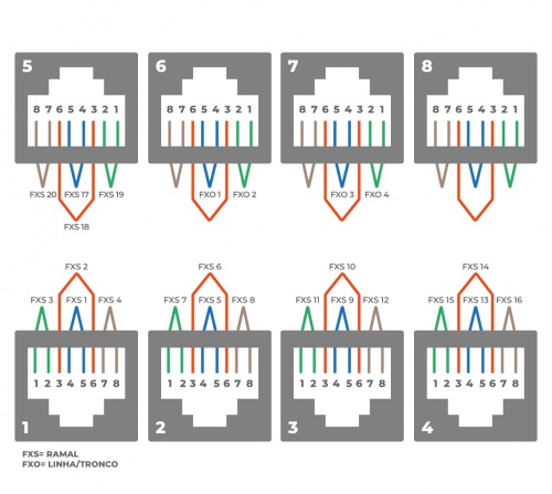 Mmg-204e-cnxs.png