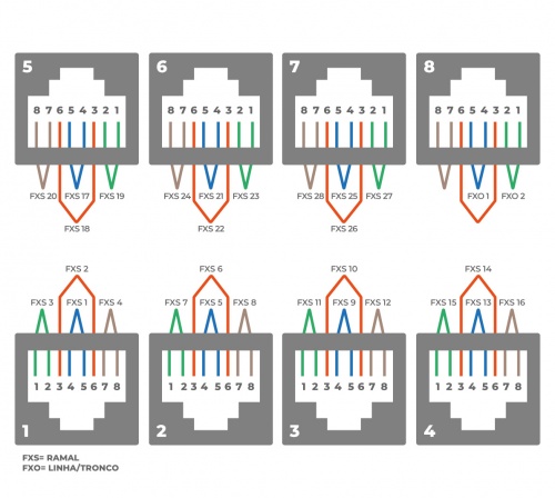 Mmg-282e-cnxs.png