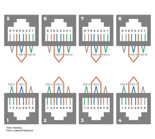 Mmg-016e-cnxs.png