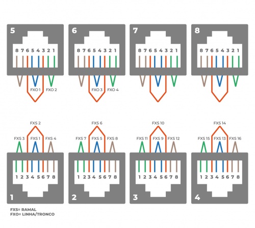 Mmg-164e-cnxs.png