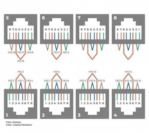 Mmg-202e-cnxs.png