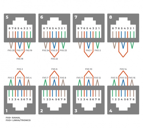 Mmg-242e-cnxs.png