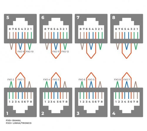 Mmg-012e-cnxs.png