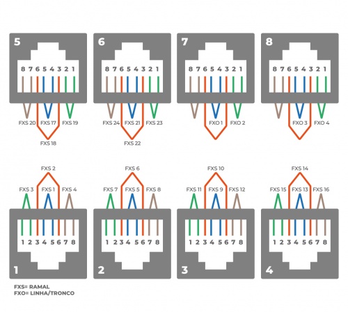 Mmg-244e-cnxs.png