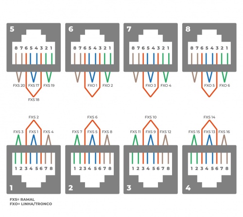 Mmg-206e-cnxs.png