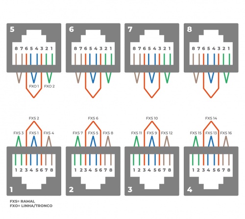 Mmg-162e-cnxs.png